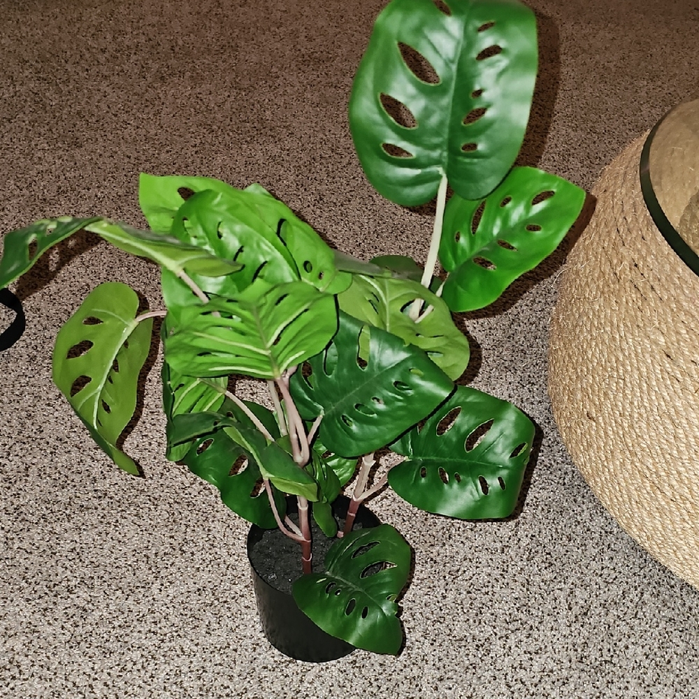 Artificial Monstera Monkey Mask Plant - Green